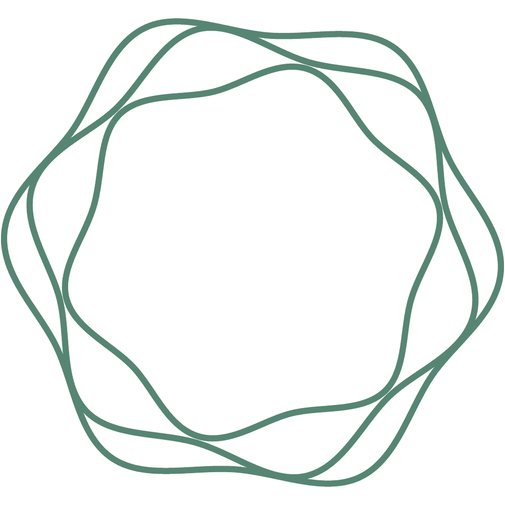 Circle Icon