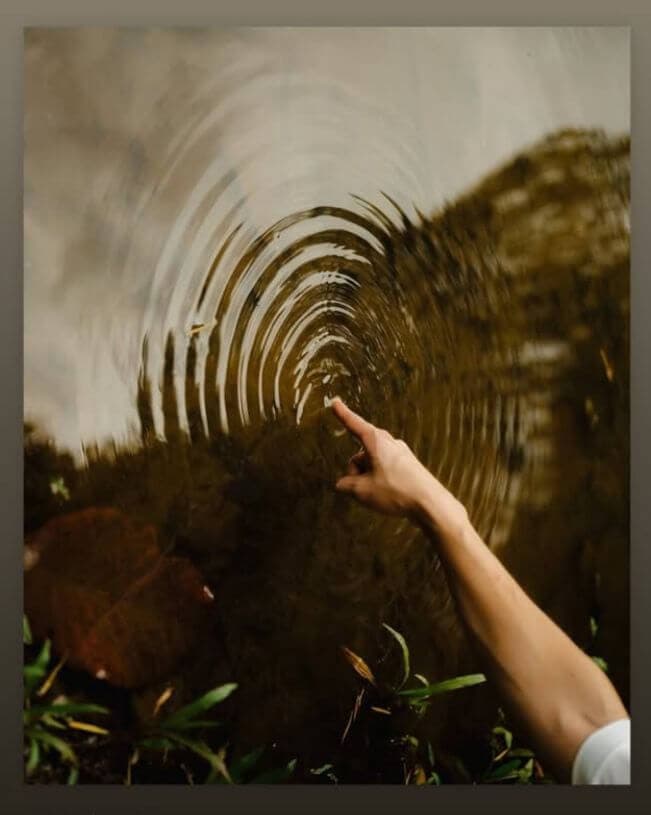 Leaf-shaped image 1